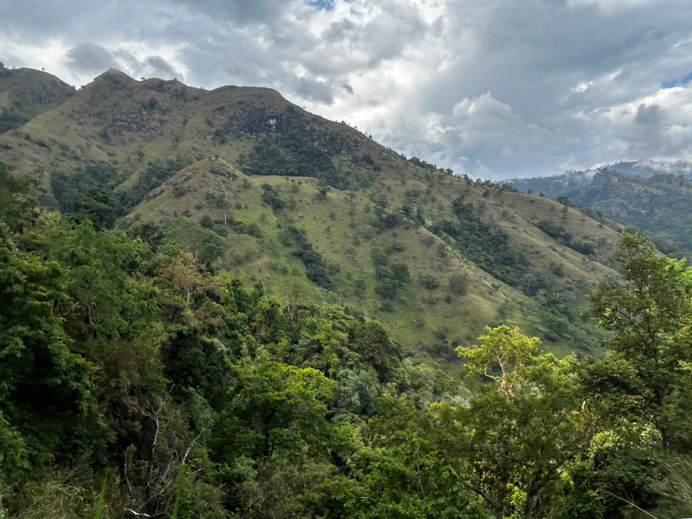 Sri Lanka nature