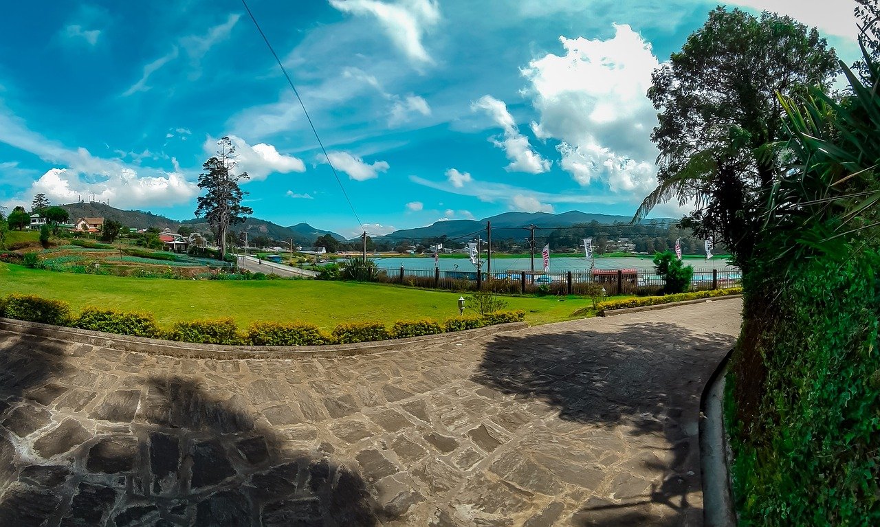 Nuwara Eliya Tea Plantations